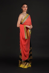 Red Embroidered SareeIMG_0999