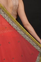 Red Embroidered SareeIMG_1000