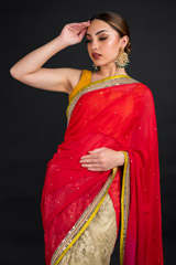 Red Embroidered Saree_DSC4602-Edit