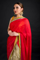 Red Embroidered Saree_DSC4605-Edit