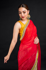 Red Embroidered Saree_DSC4606-Edit