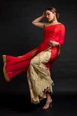 Red Embroidered Saree