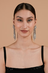 Floral Embellished Earrings_DTR3200