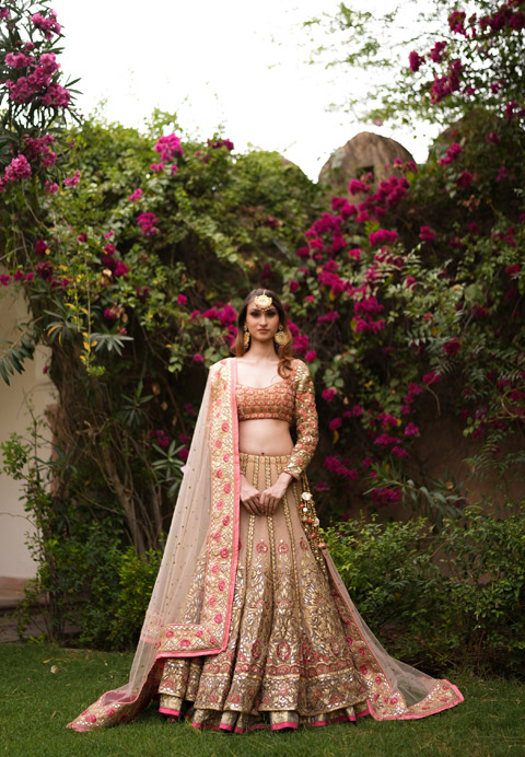 Beige Double Layer Lehenga