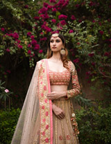 Beige Double Layer LehengaDSC05660