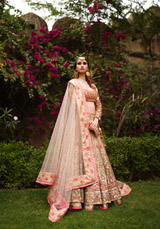 Beige Double Layer LehengaDSC05668