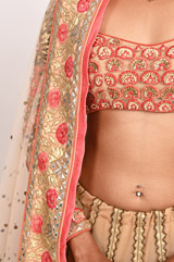 Beige Double Layer LehengaDSC_3469