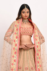Beige Double Layer LehengaDSC_3474