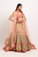 Beige Double Layer LehengaDSC_3480