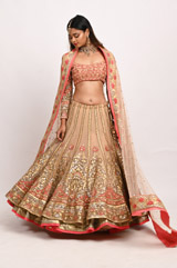 Beige Double Layer LehengaDSC_3485