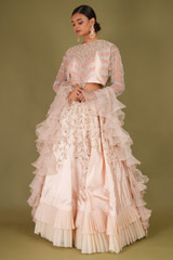 Embroidered Tasseled Lehenga SetDSC07223