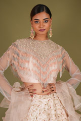 Embroidered Tasseled Lehenga SetDSC07224