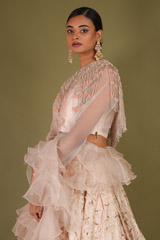 Embroidered Tasseled Lehenga SetDSC07227