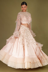 Embroidered Tasseled Lehenga SetDSC07229