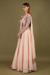 Hand Embroidered Organza  Lehenga setDSC01002