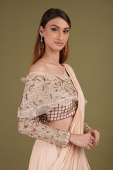 Hand Embroidered Organza  Lehenga setDSC01005