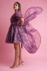 The Ballerina DressDSC05607