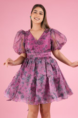 The Ballerina DressDSC05618