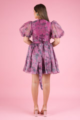 The Ballerina DressDSC05620