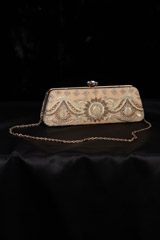 Embellished Long Clutch3017_video