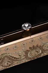 Embellished Long ClutchIMG_1646