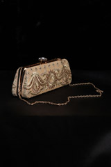 Embellished Long ClutchIMG_1651