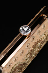 Embellished Long ClutchIMG_1652