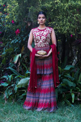 Red Sharara Set3097_video