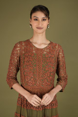 Brown lace GownDSC02436