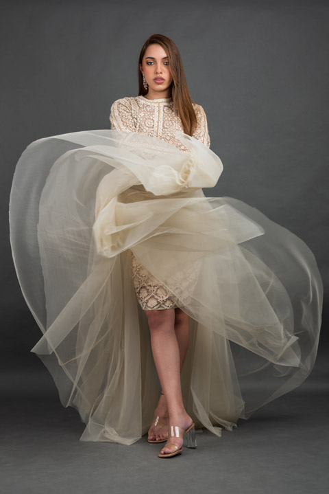 Ivory Embellished Gown