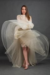 Ivory Embellished Gown