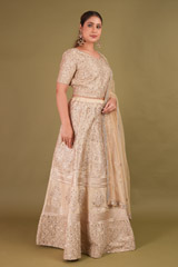 Gold Applique Lehenga with CrystalDSC01364