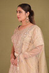 Gold Applique Lehenga with CrystalDSC01366