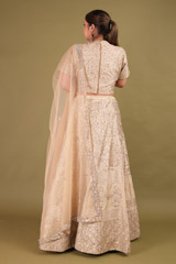 Gold Applique Lehenga with CrystalDSC01367