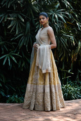 Gold Embellished Lehenga_DSC8669