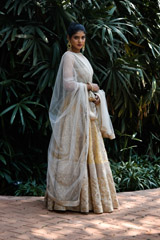Gold Embellished Lehenga_DSC8673