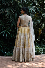 Gold Embellished Lehenga_DSC8679