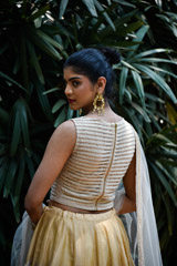 Gold Embellished Lehenga_DSC8683