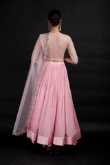 Pink Embroidered Lehenga_MG_9066