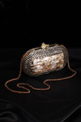 Metallic Oval Clutch