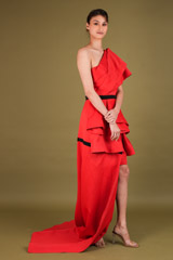 Red Cocktail DressDSC02471
