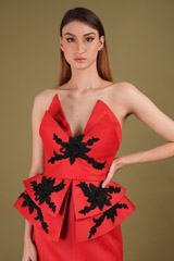 Red Flamingo GownDSC00880