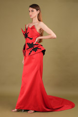 Red Flamingo GownDSC00882