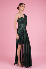 Green  Sequin GownDSC05585