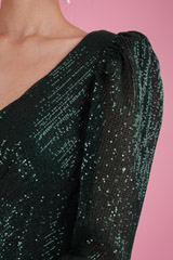 Green  Sequin GownDSC05588