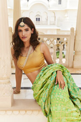 Banarasi Khadi Bandhini Saree2