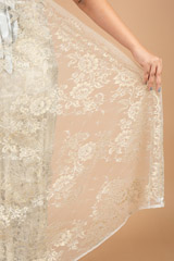 Chantilly lace sareeDSC08386