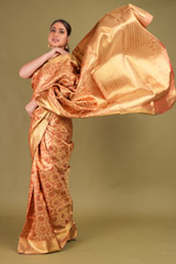 Kanchivaram Brocade SareeDSC00175