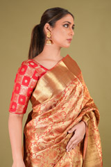Kanchivaram Brocade SareeDSC00179