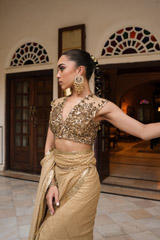 Golden Dot Saree SetDSC04793